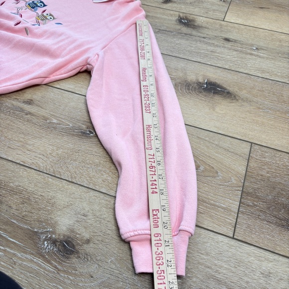 Vintage Adrian Delafield Womens XL Pink Owl Sweatshirt Collared Cottagecore EUC - Picture 5 of 14